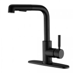 50% off Coupon Code for this Kitchen Faucet!