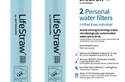 LifeStraw Personal Water Filter (Pack of 2)