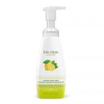 Live Clean Lemon Mint Foaming Hand Wash, 400 mL