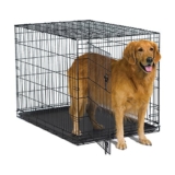 MidWest Homes for Pets New World 42″ Folding Metal Dog Crate