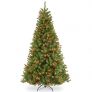 National Tree 7 1/2 Foot Hinged North Valley Spruce Tree with 550 Multi-Colored Lights