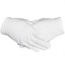 Paxcoo 6 Pairs White Cotton Gloves, M