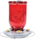 Perky-Pet Red Mason Jar Glass Hummingbird Feeder