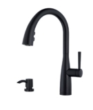 Pfister Raya 1-Handle Pull-Down Kitchen Faucet, Black