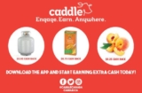 Make Money with Caddle