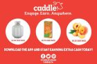 Make Money with Caddle