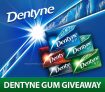 SaveaLoonie’s Free Dentyne Gum Giveaway
