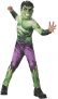 Rubies Costume Marvel Universe Classic Collection Avengers Assemble Incredible Hulk