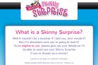 Skinny Cow Canada Big Surprise Giveaway