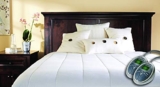 Sunbeam Heated Mattress Pad, 10 Hour Auto-Off, White, Queen