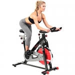 Sunny Health & Fitness Belt Drive Indoor Cycling Bike, 22 KG Flywheel