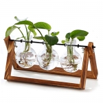 Plant Terrarium Wooden Stand Propagation Station